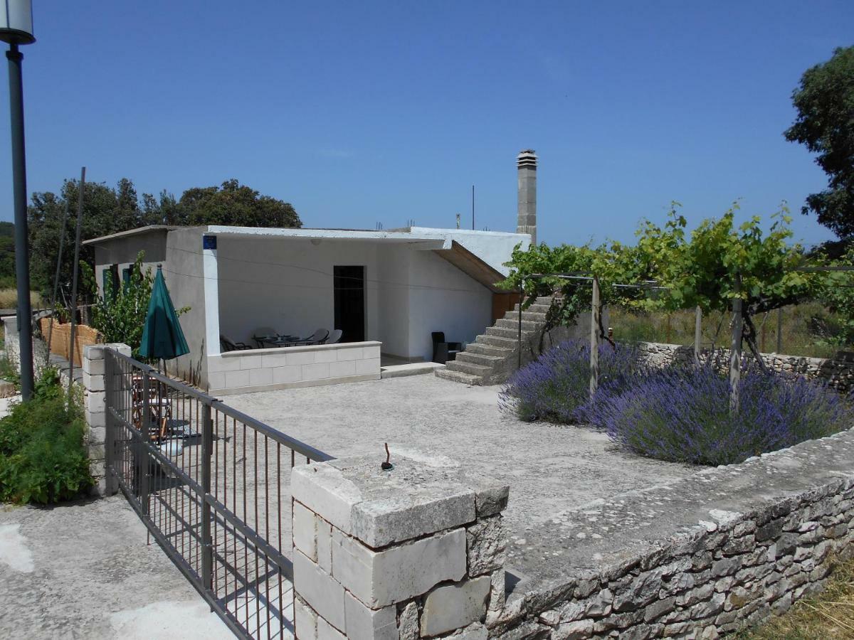 Apartmani Ino Škrip 外观 照片